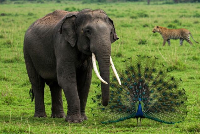 Incredible Maharashtra 06 Days Group Tour